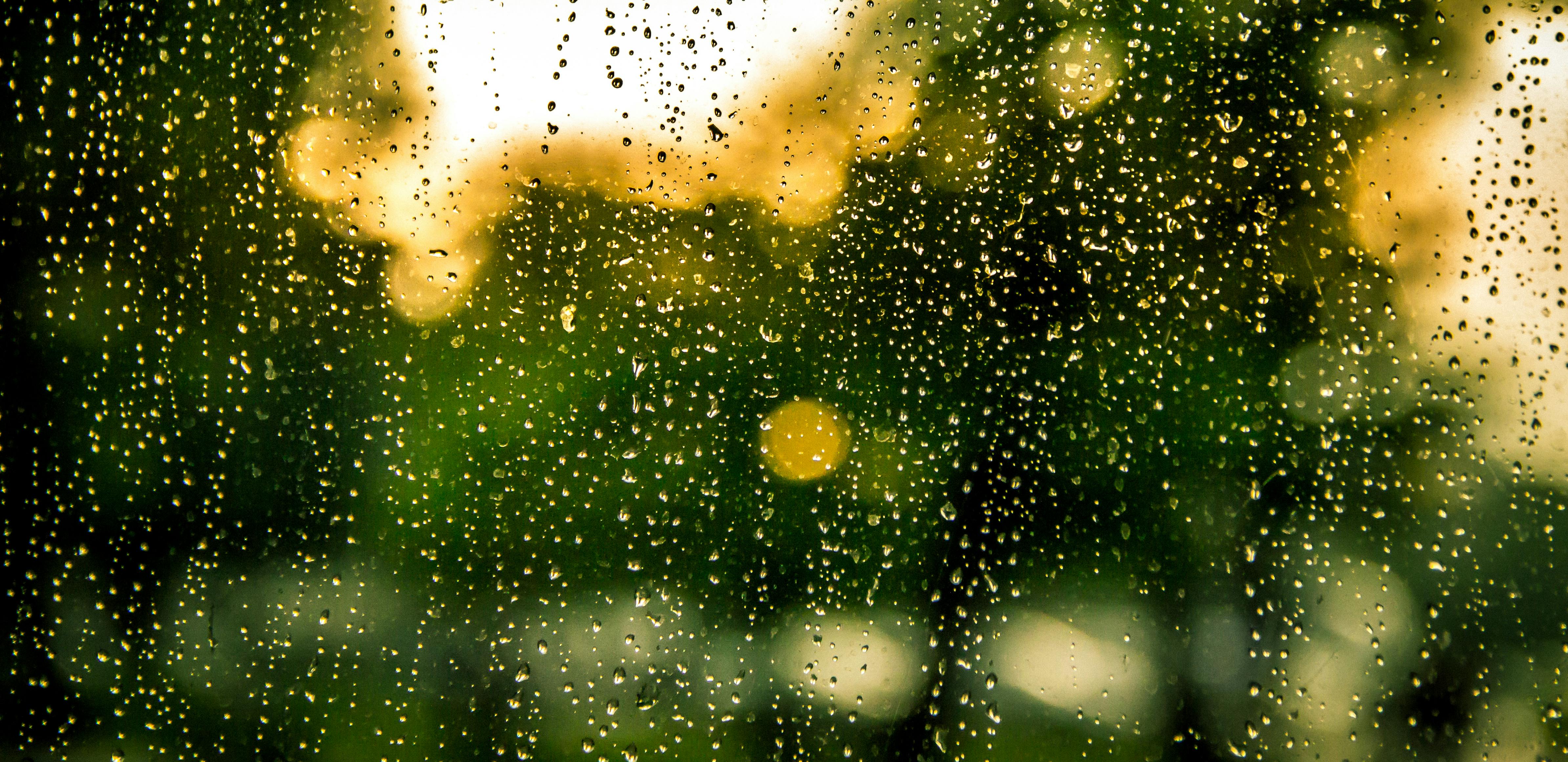 water dew in clear glass panel free stock photo