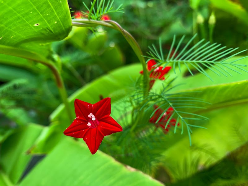 خدمة تنظيف خزانات الصرف الصحي الاحترافية في دبي - الفاطمة