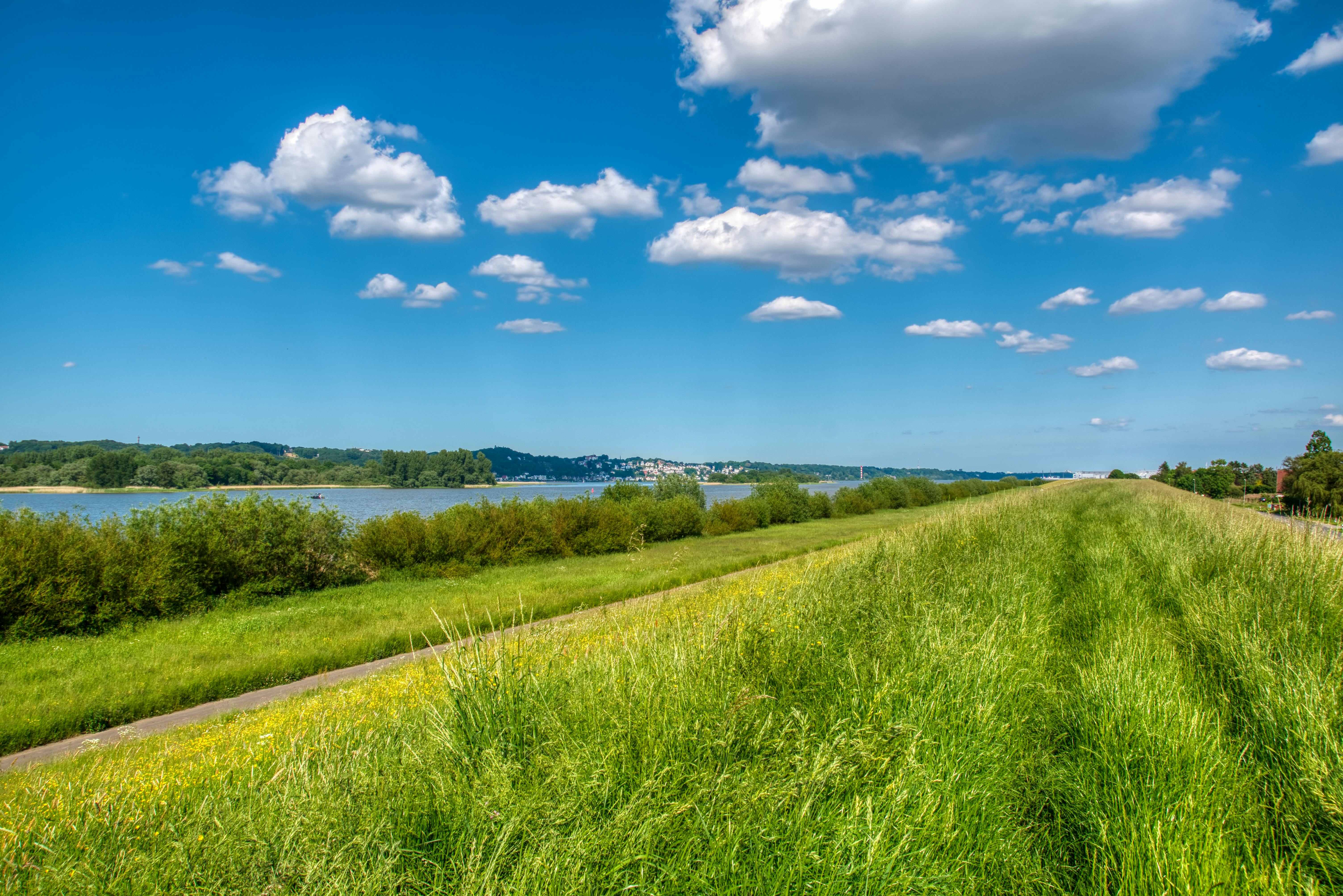 Écran de trading Forex avec des graphiques et des chiffres