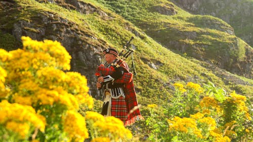 golf buggies scotland