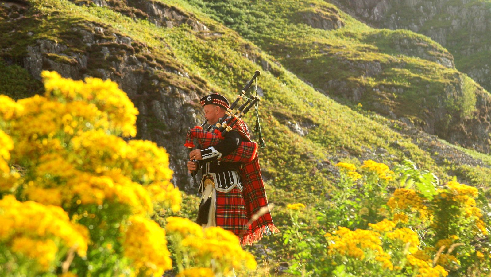 the Scottish Highlands
