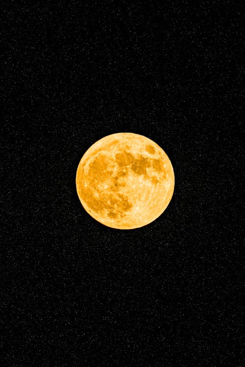 Full Moon in the Night Sky