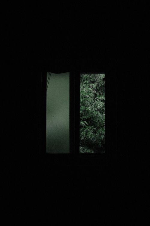Free A dark moody scene of greenery visible through an open window. Stock Photo