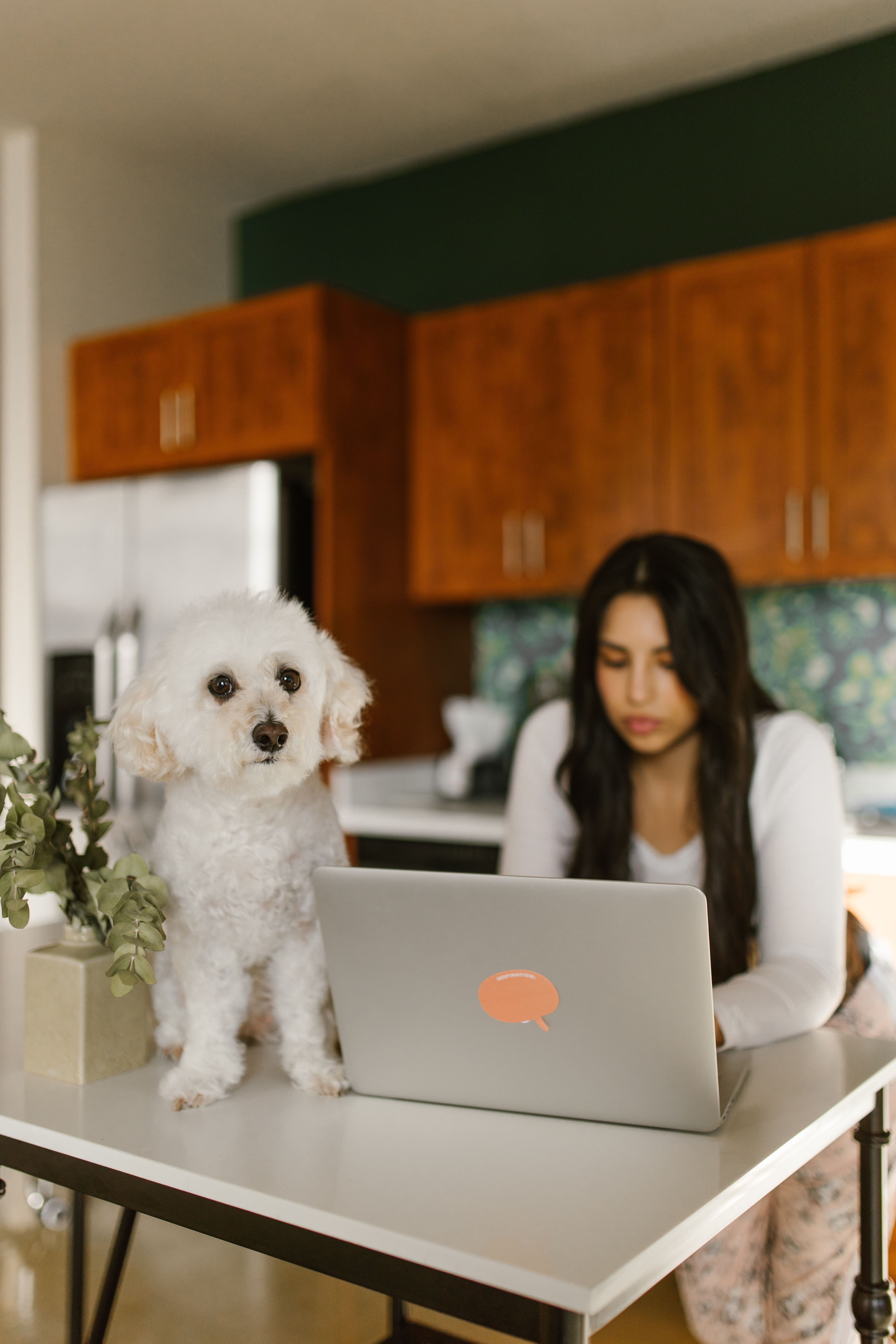 Pet-care professional working on laptop with a dog beside her
