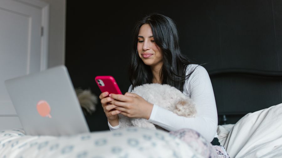 Buying Dog Food Online vs. In Store: What Actually Matters