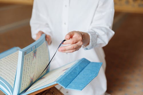 Free A Person Holding a Book Stock Photo