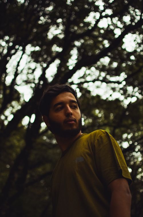 Free Portrait of a young man with a beard in a forest, featuring blurred background and natural lighting. Stock Photo