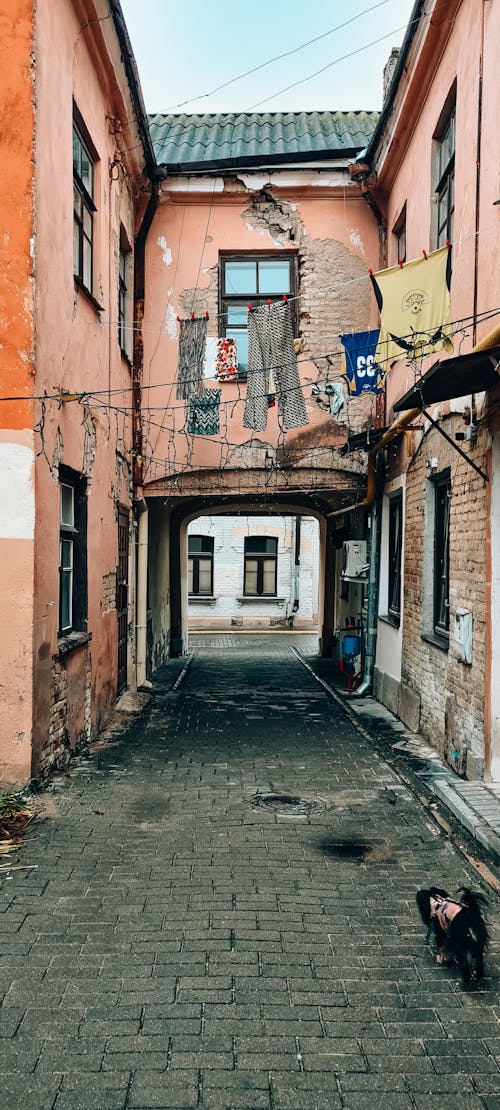 A Narrow Alley between Buildings