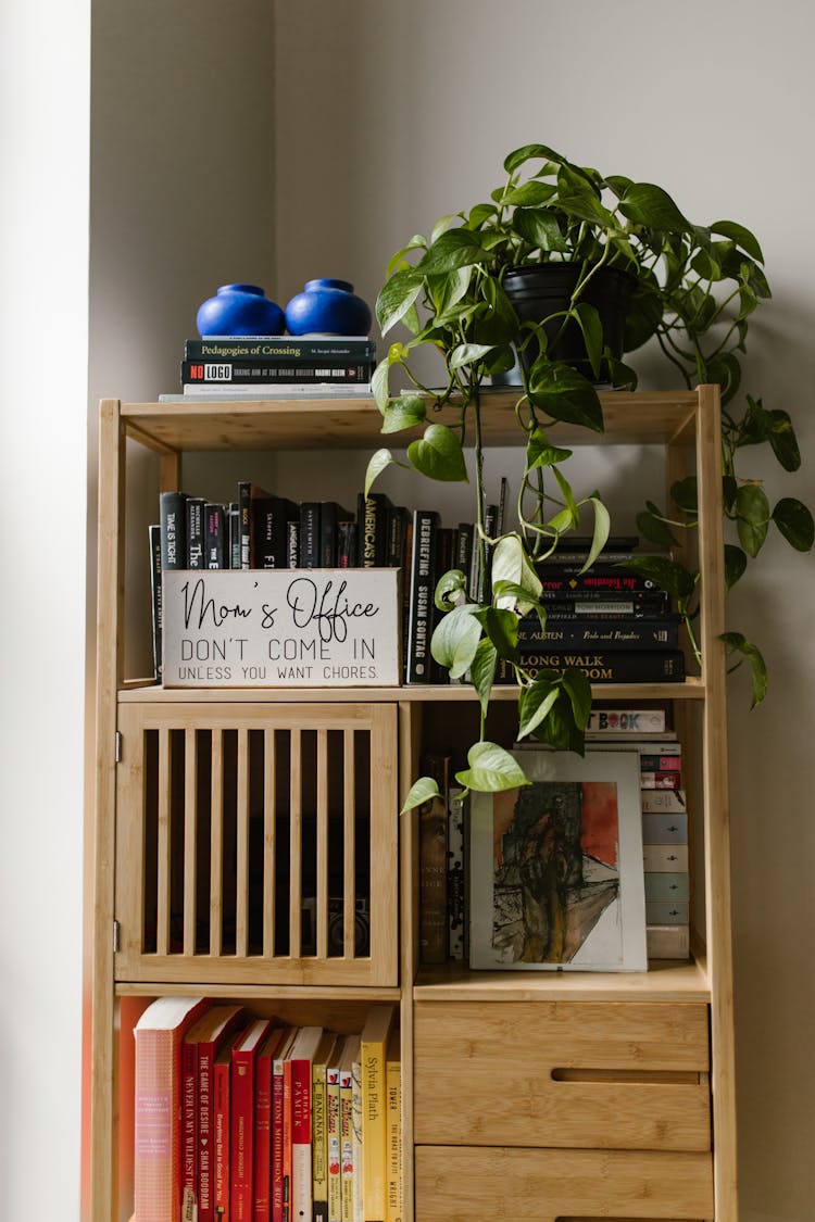 Books On Wooden Display Shelf 