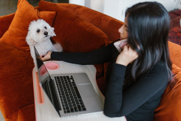 A Woman With A Pet Having A Phone Call And Using A Laptop