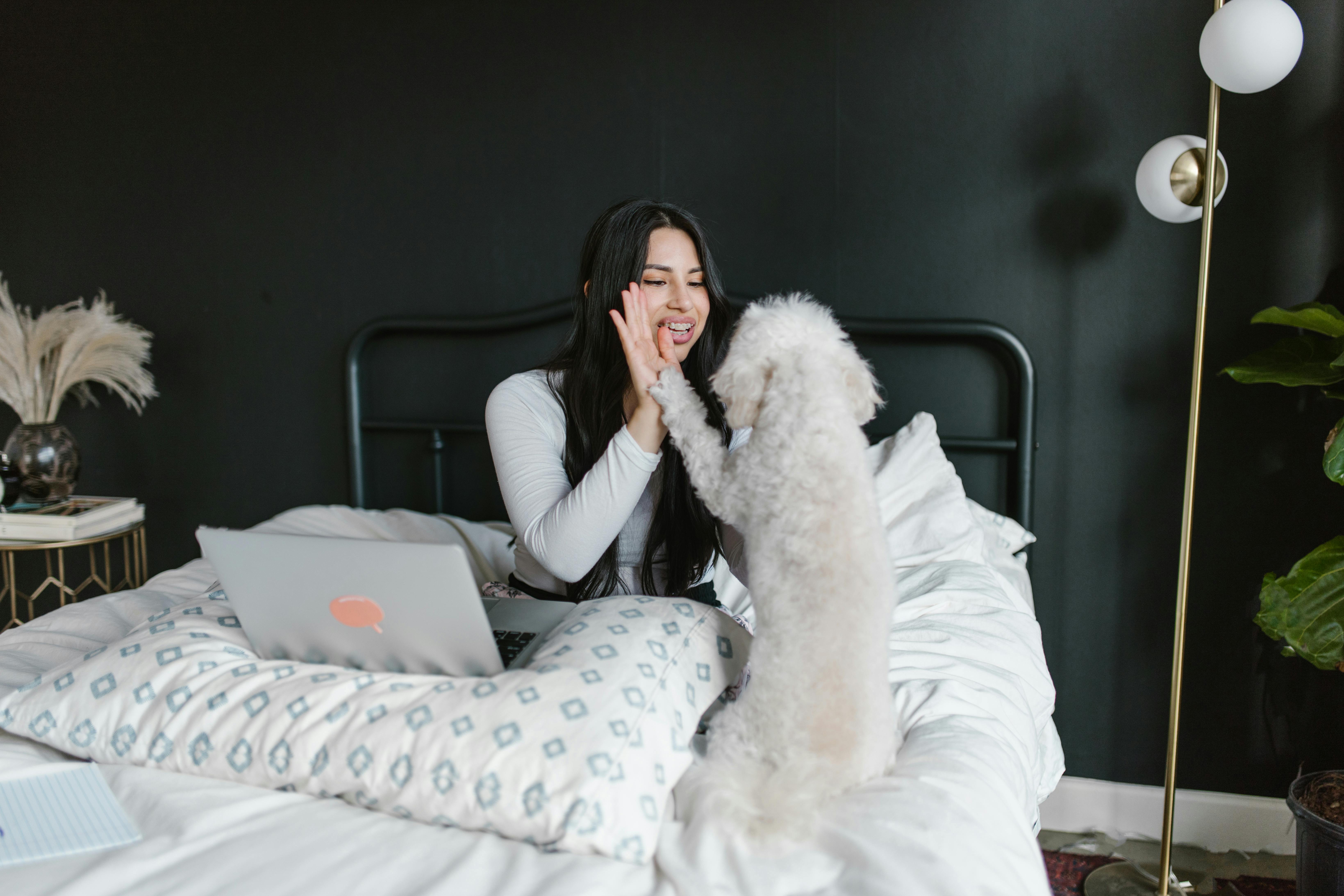 pet technology contact — Photo by RDNE Stock project on Pexels