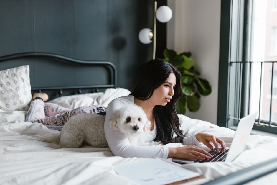 Pet Business TikTok Content Ideas Blueprint