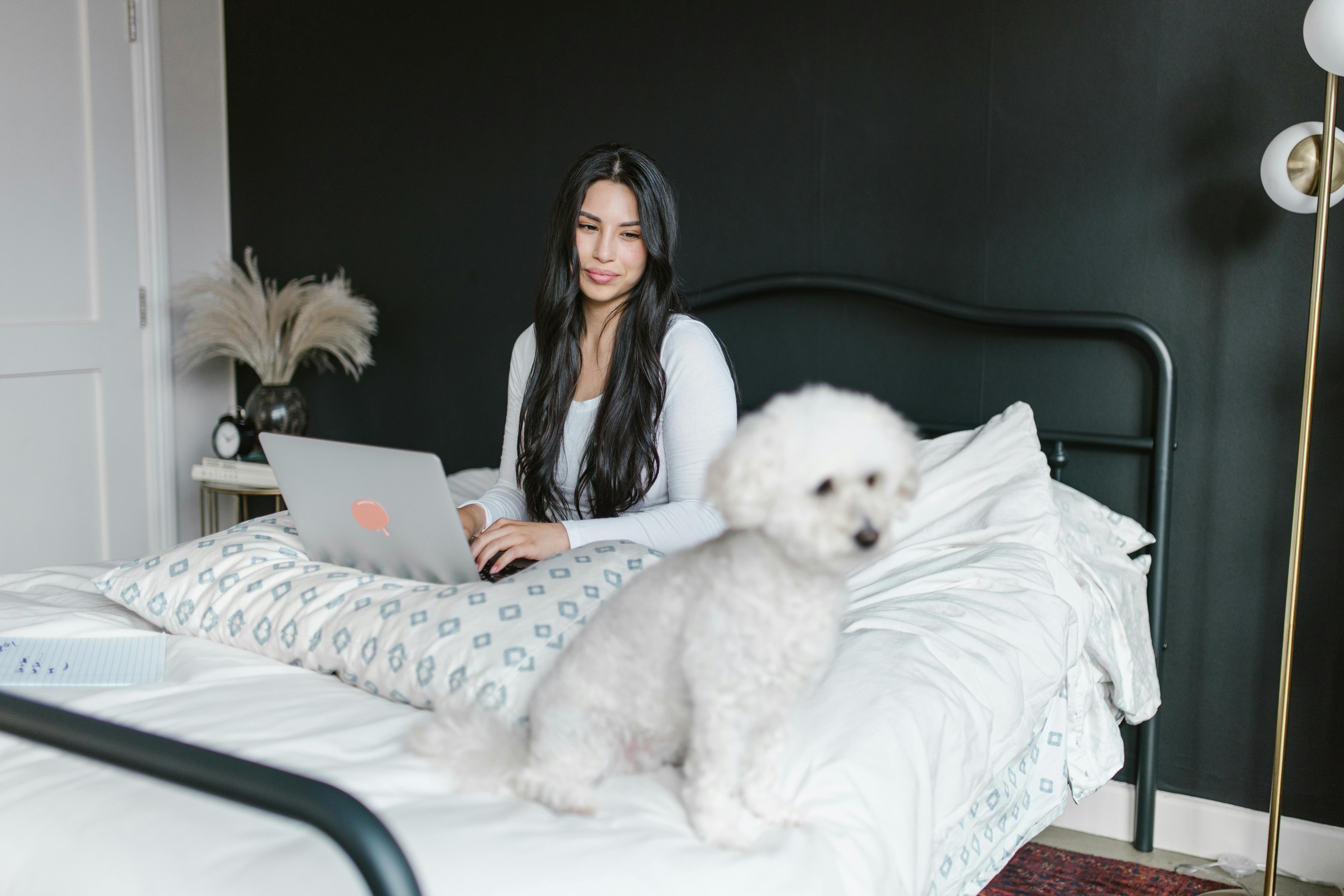 pet technology products — Photo by RDNE Stock project on Pexels