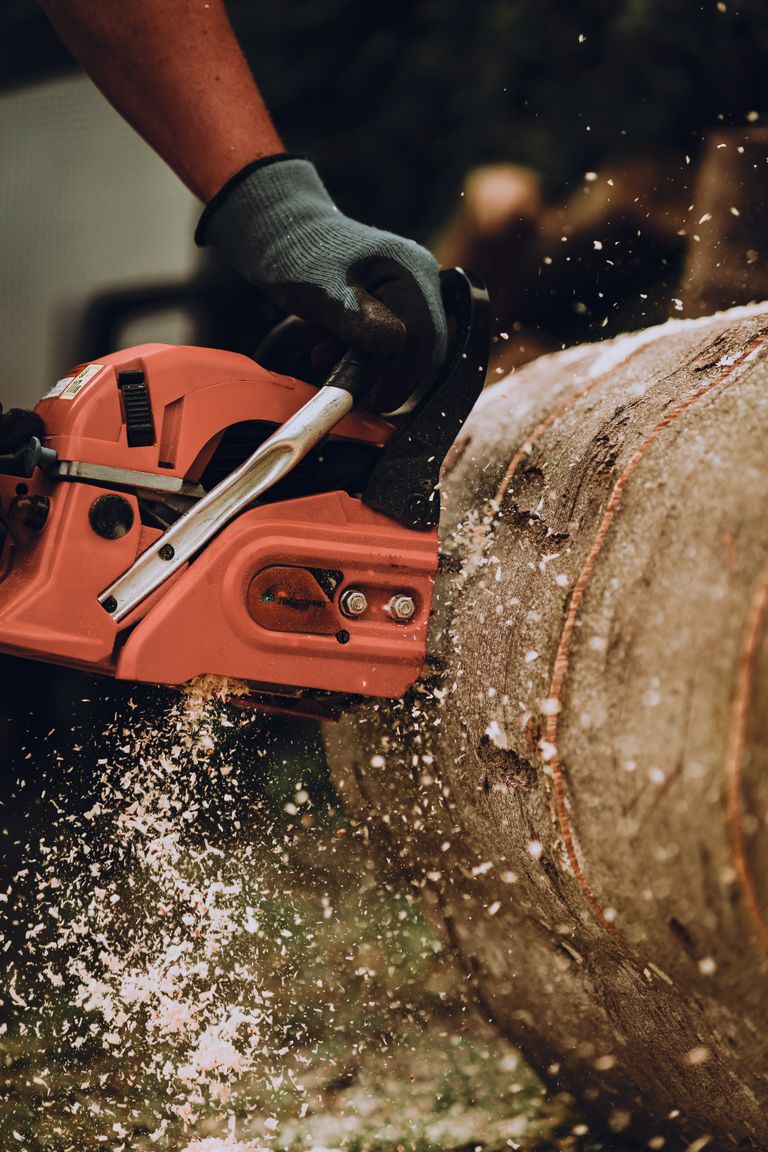 Crew sectioning a large hardwood trunk during a tree removal in Marietta GA