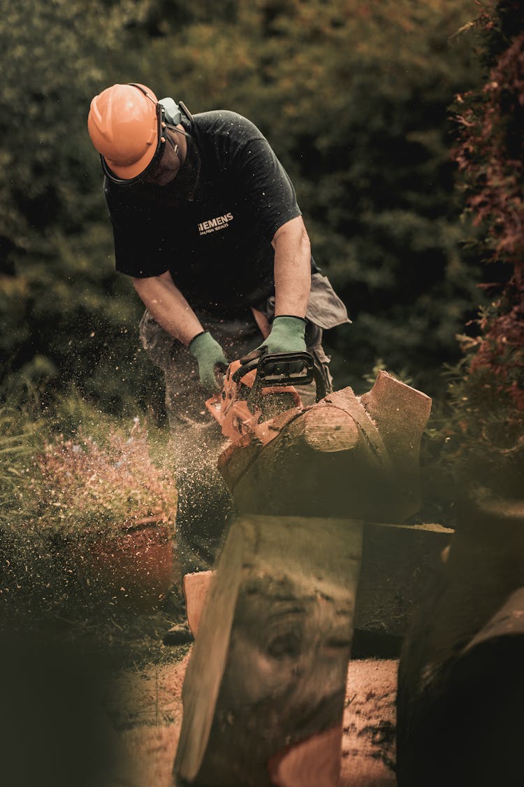 Lumberjack Cutting Wood Into Pieces