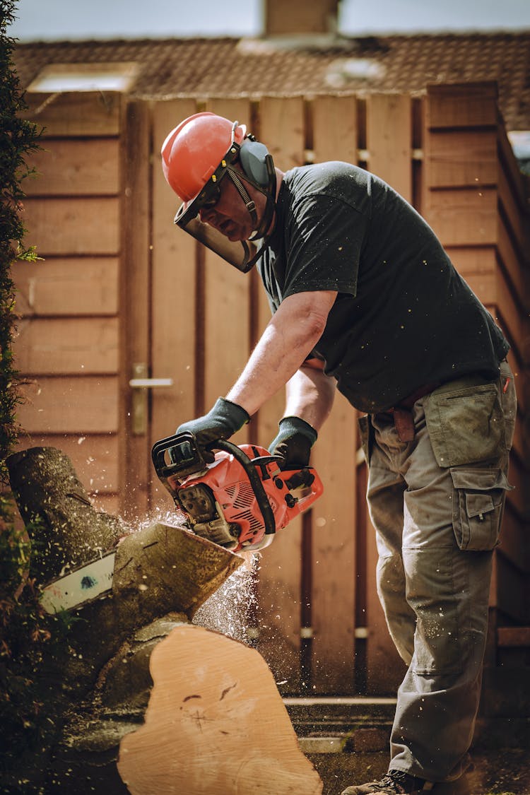 A Man Cutting A Tree Using A Chainsaw