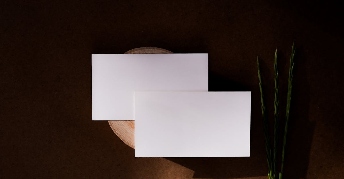 Why Sustainable Printing Matters: The Impact of Eco-Friendly Practices on Your Brand and Bottom Line
