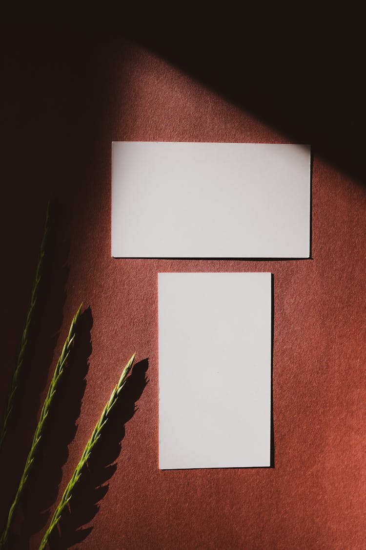 Blank Paper Sheets And Grasses