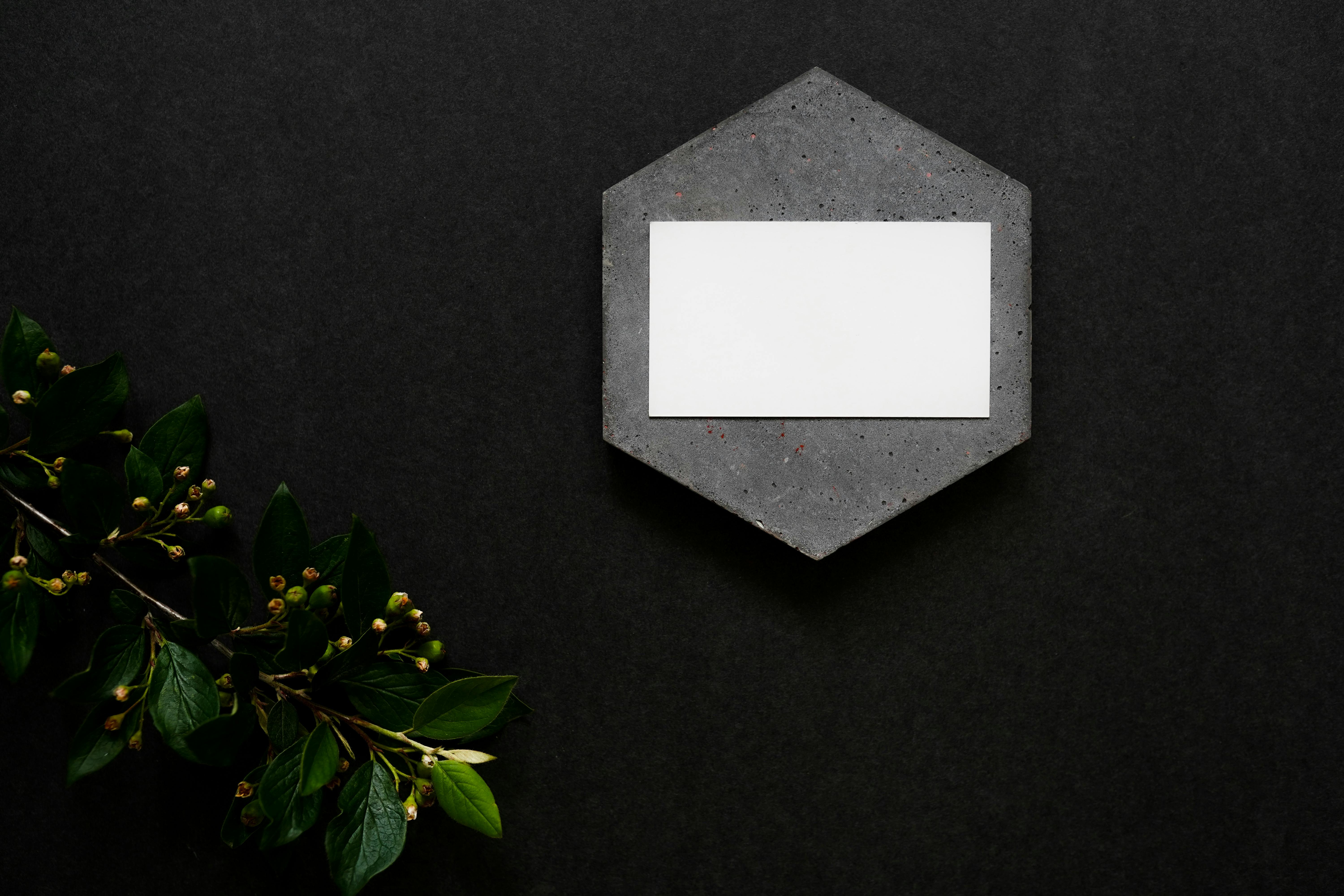 A blank business card on a stylish hexagonal stone against a dark background with foliage.