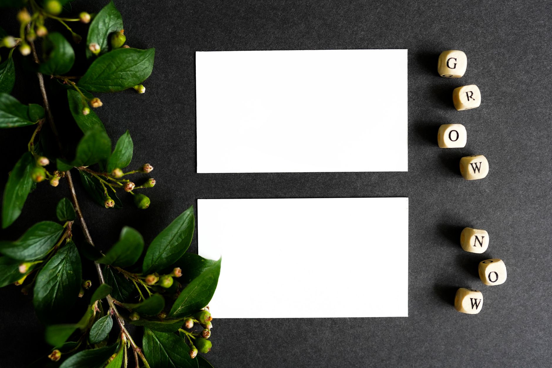 Blank Paper Beside Stem of Green Leaves