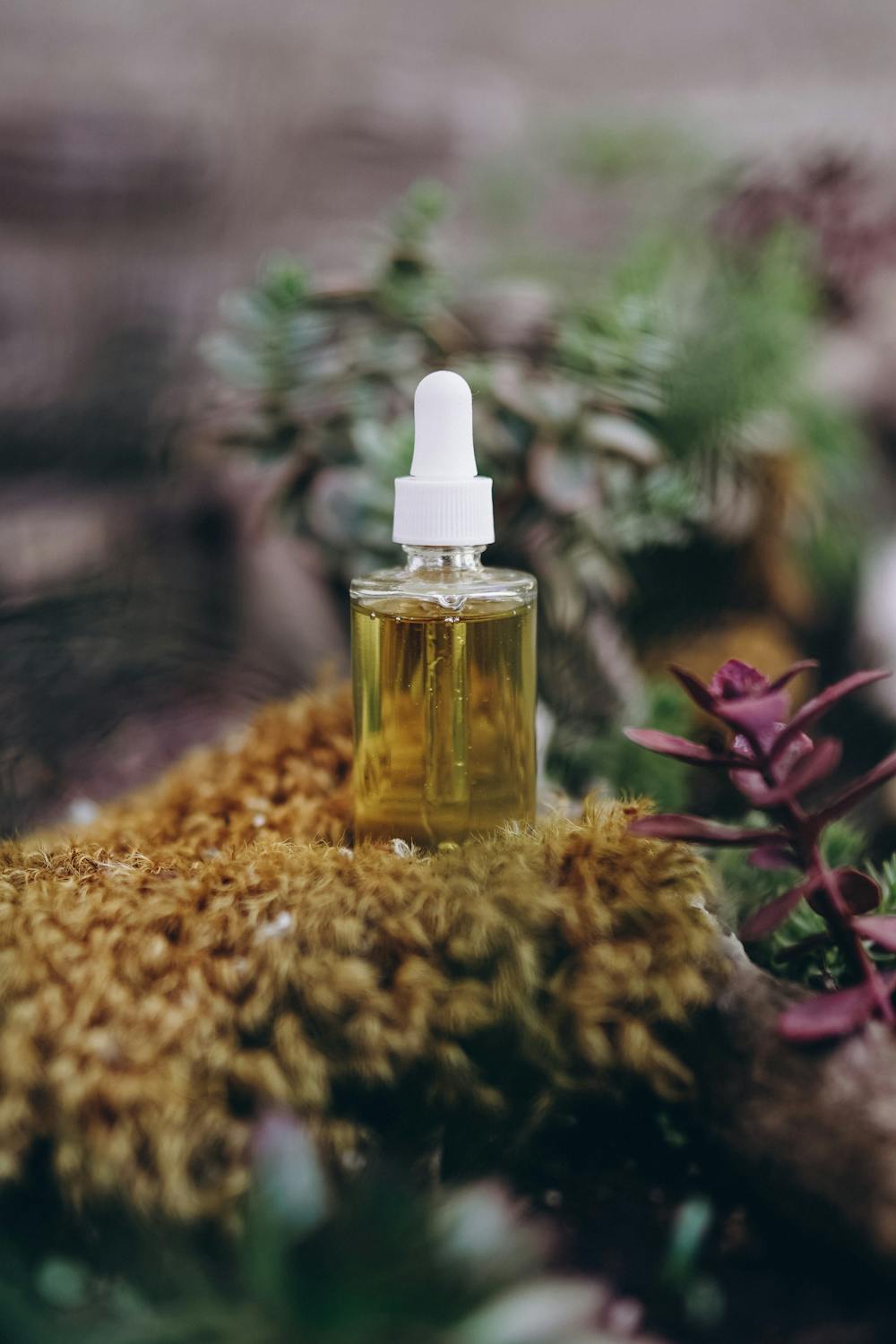 natural and vegetable oils for furniture finishing