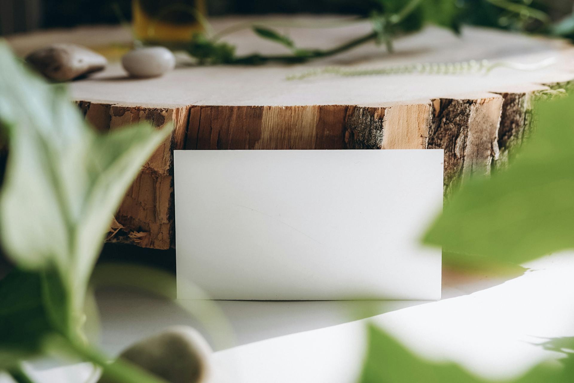 Blank Business Card Propped Against Rustic Tray Surrounded by Plants