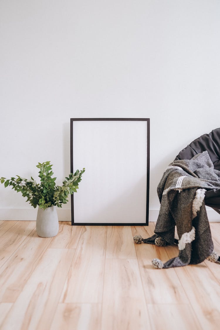 Houseplant And Empty Picture Frame