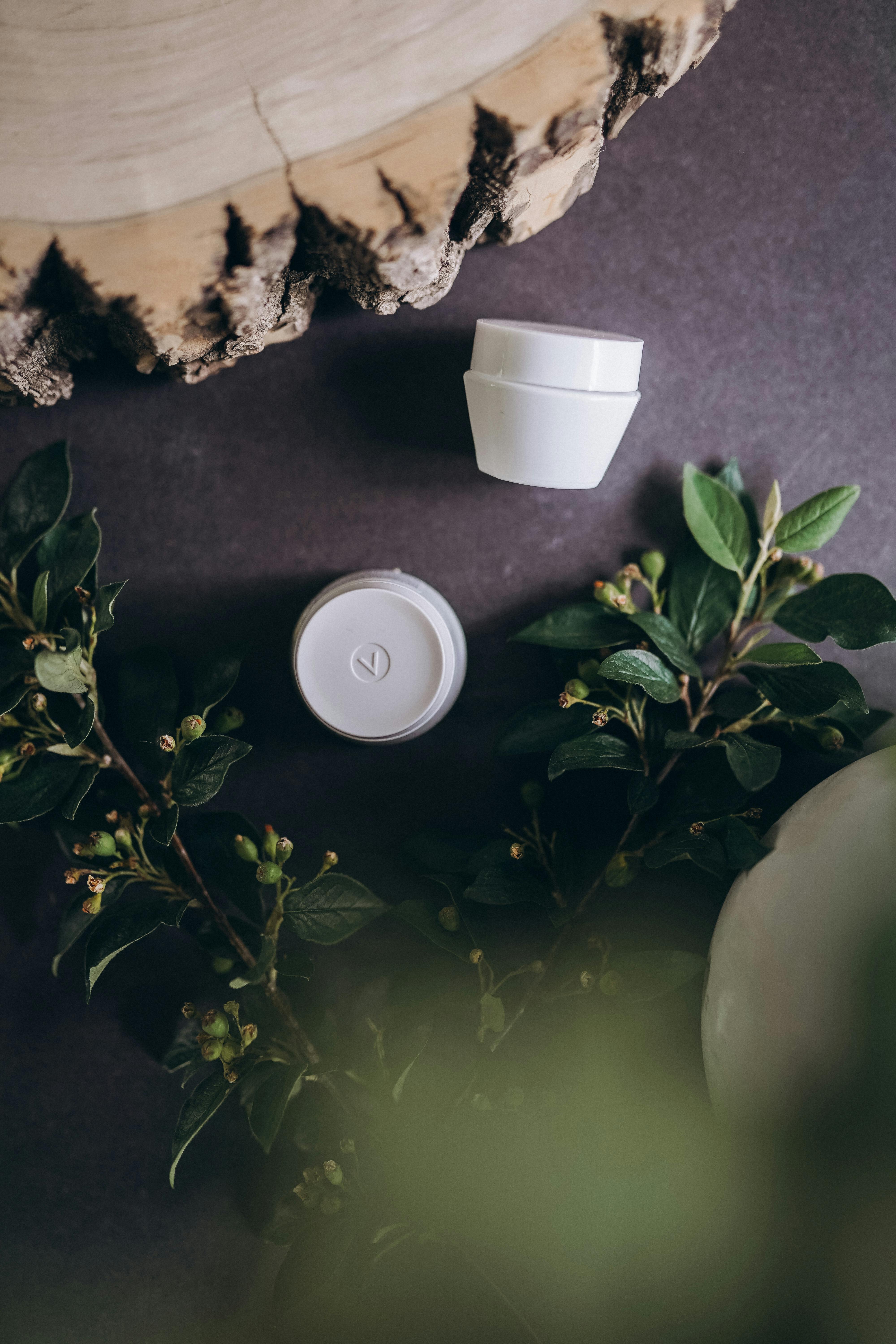 Biodegradable cup displayed on a wooden slab with greenery, showcasing sustainable living.