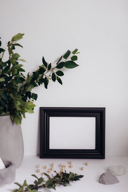 Free Black Wooden Frame Beside a Pot with Green Plants Stock Photo