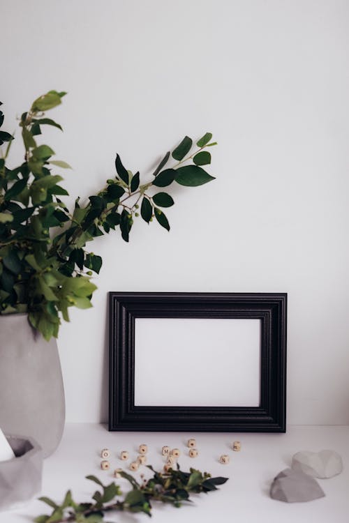 Black Wooden Frame Beside a Pot with Green Plants