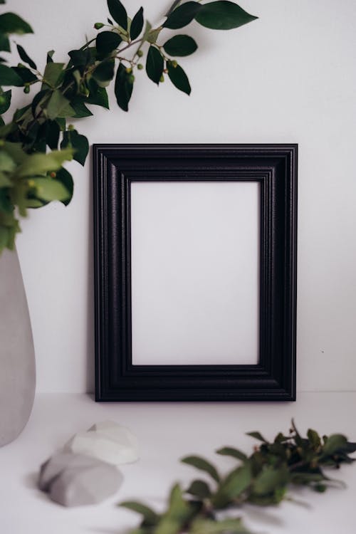 Free Black Wooden Frame on a White Wall Beside a Vase with Green Plant Stock Photo