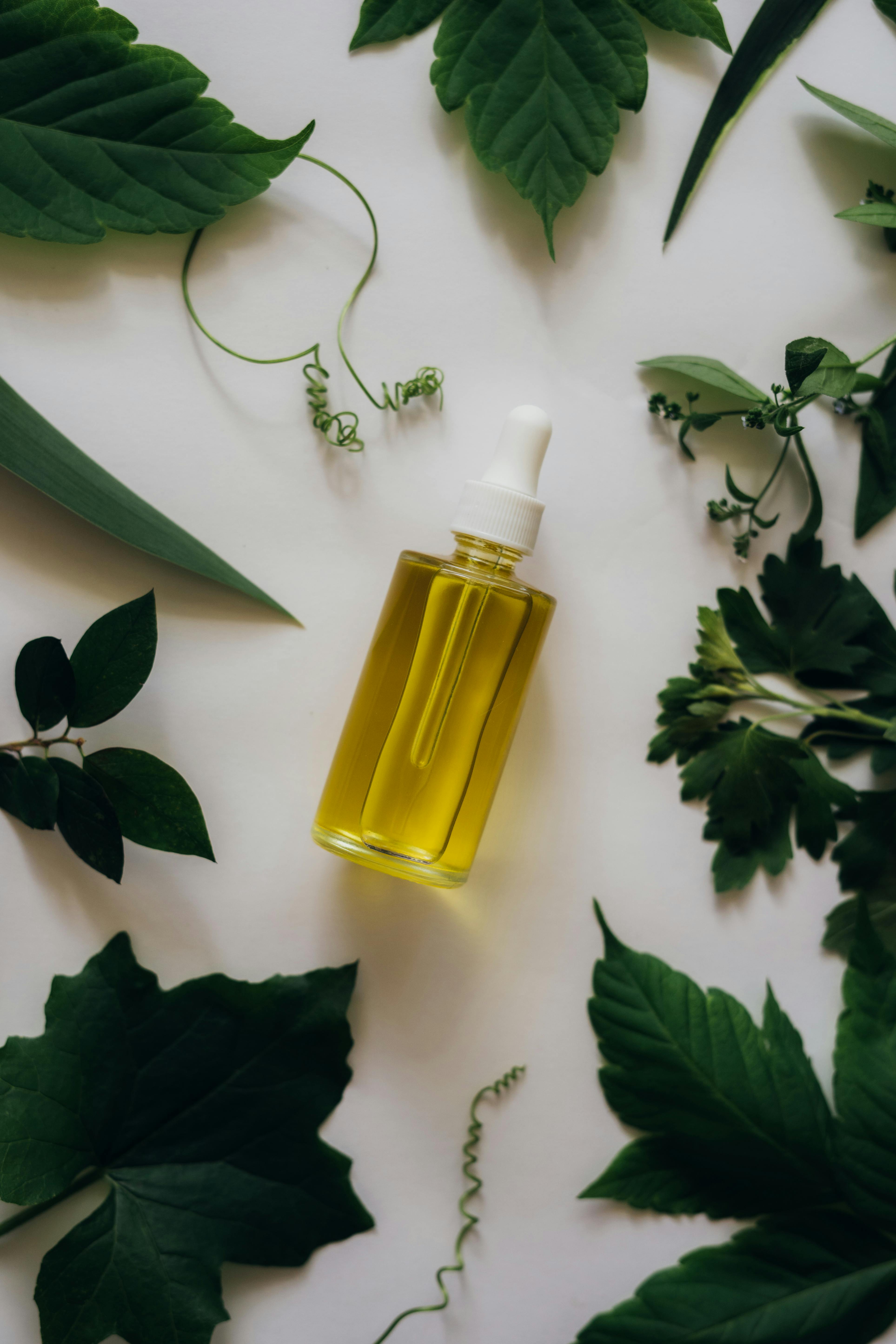 bottle of essential oil surrounded by green leaves