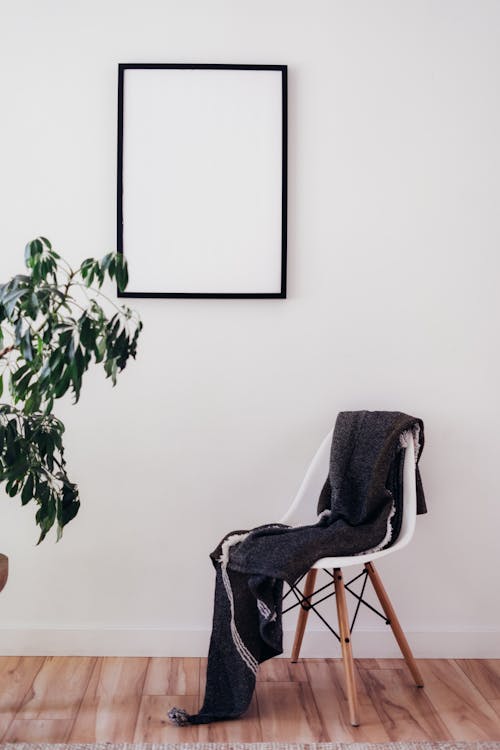 Free Empty Picture Frame Houseplant and Chair Stock Photo