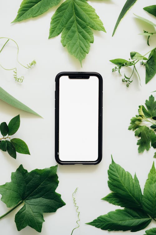 Cellphone with White Screen Surrounded by Green Leaves