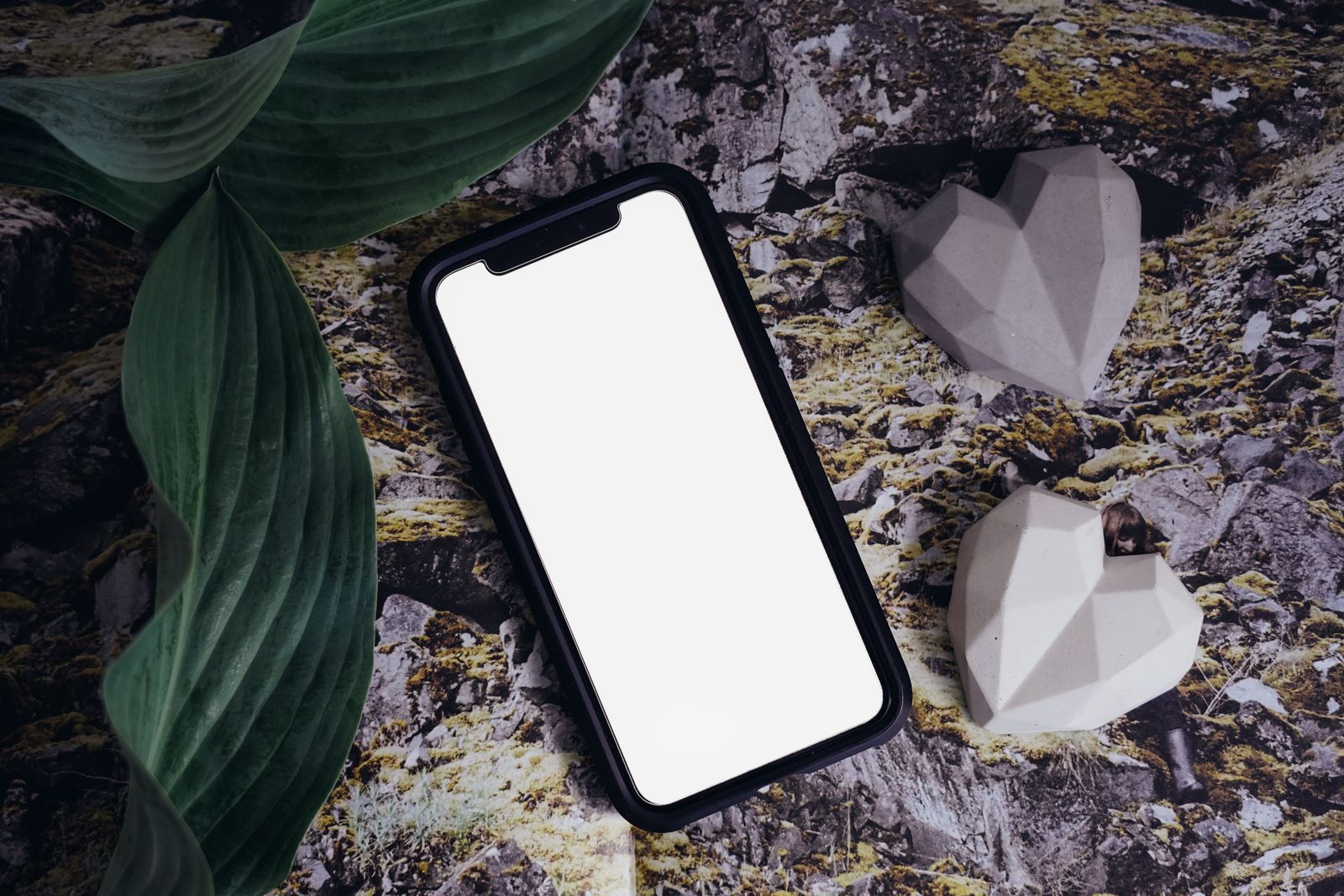 DoovoX app