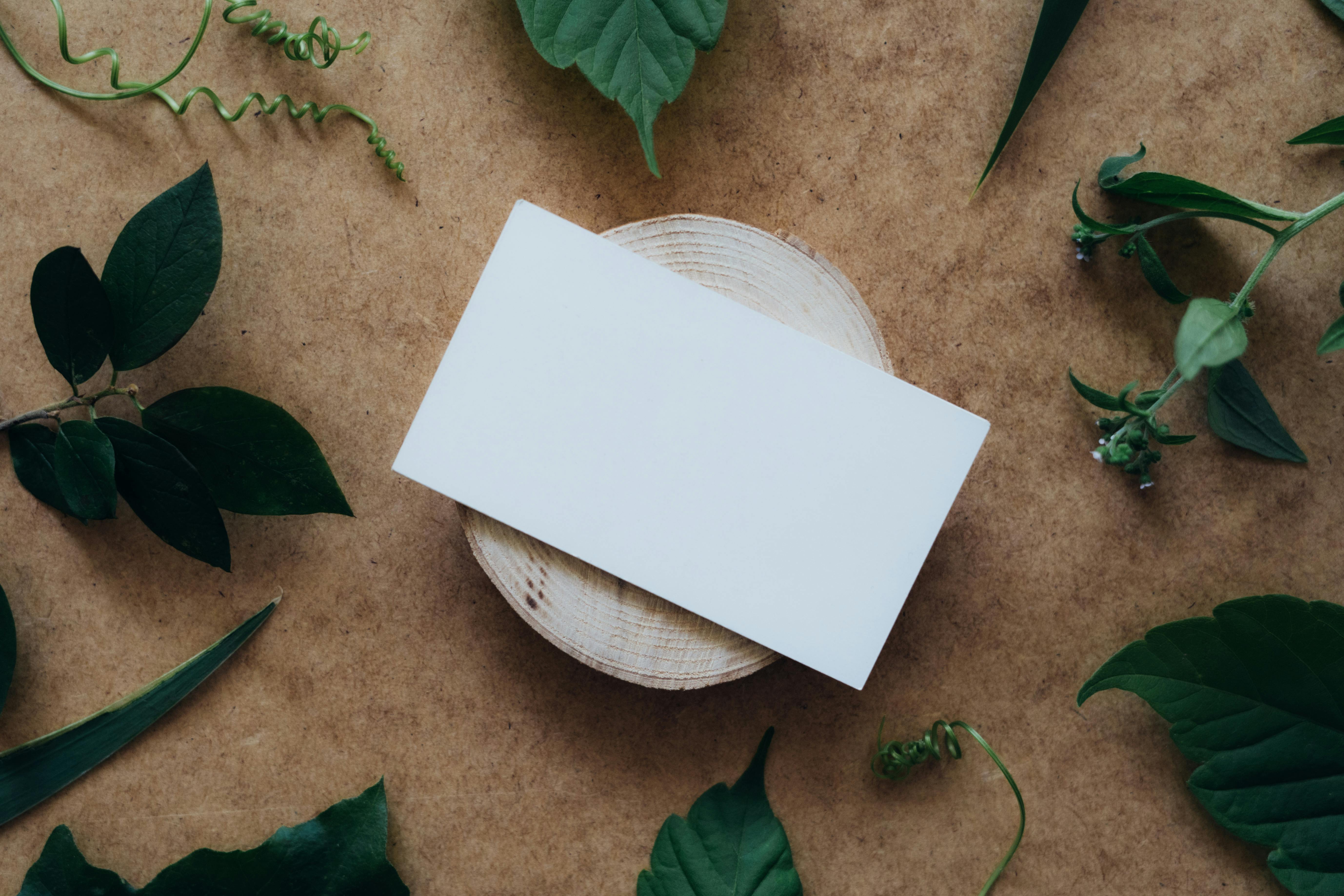 Eco-friendly stationery - bat mitzvah congratulations cards