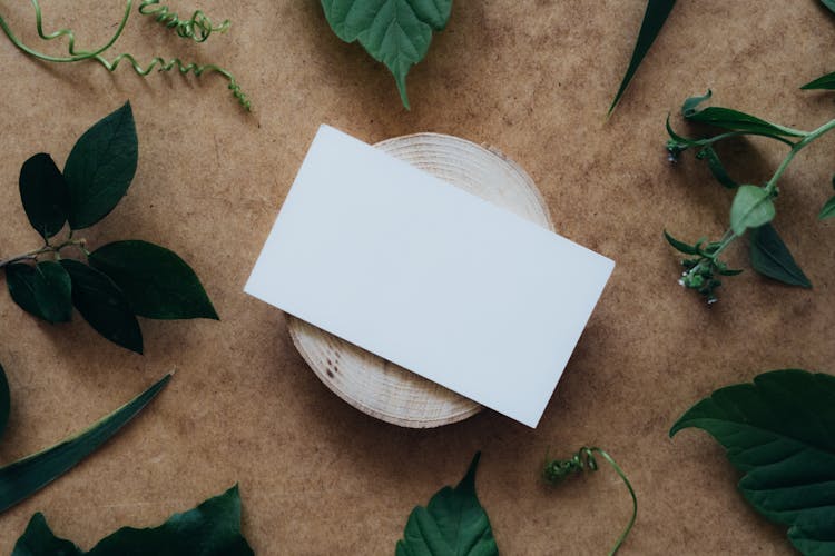 Blank Card Lying On Wooden Disc 