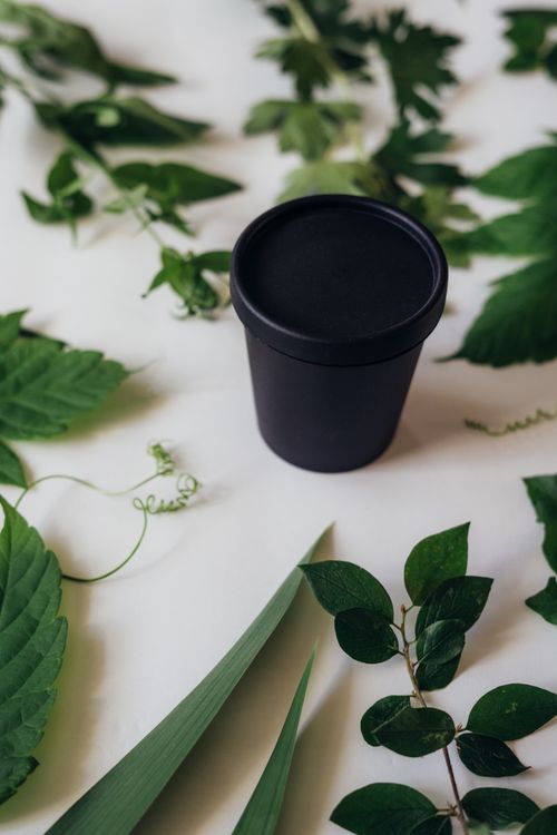 Free Elegant black cup surrounded by vibrant green leaves on a smooth white surface. Stock Photo