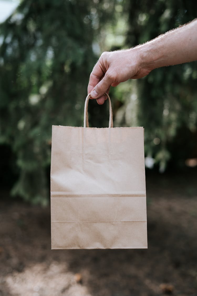 Person Hand Holding Paper Bag