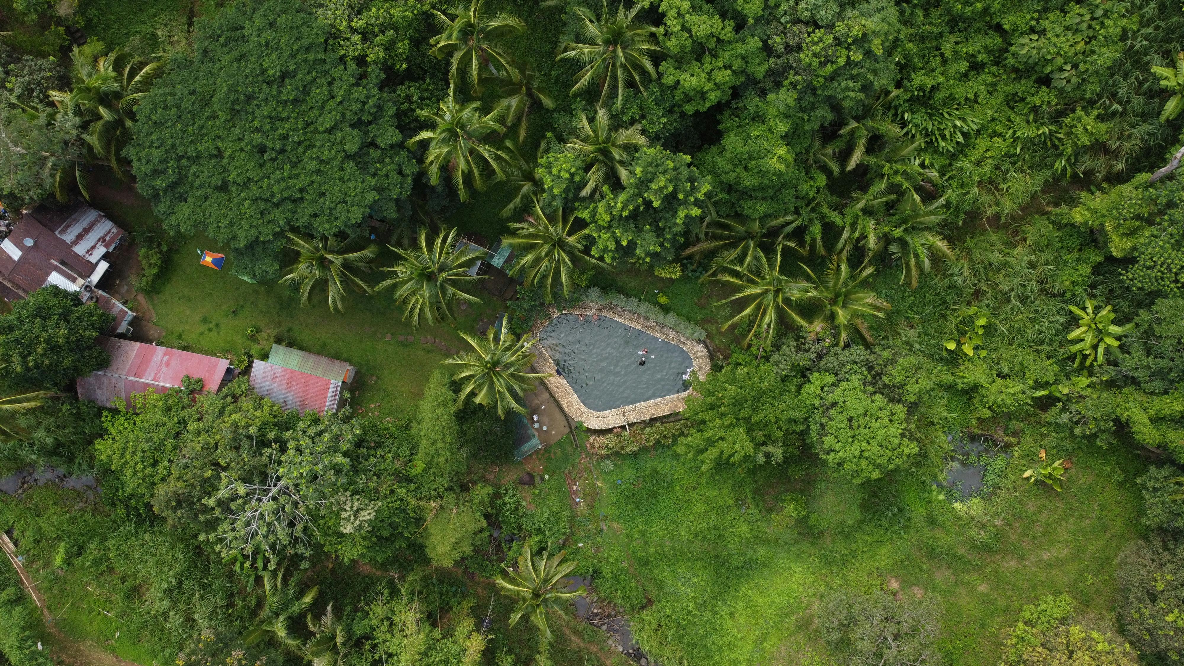 Aerial view of a lush forest with a pool and trees in Tanay, Philippines.