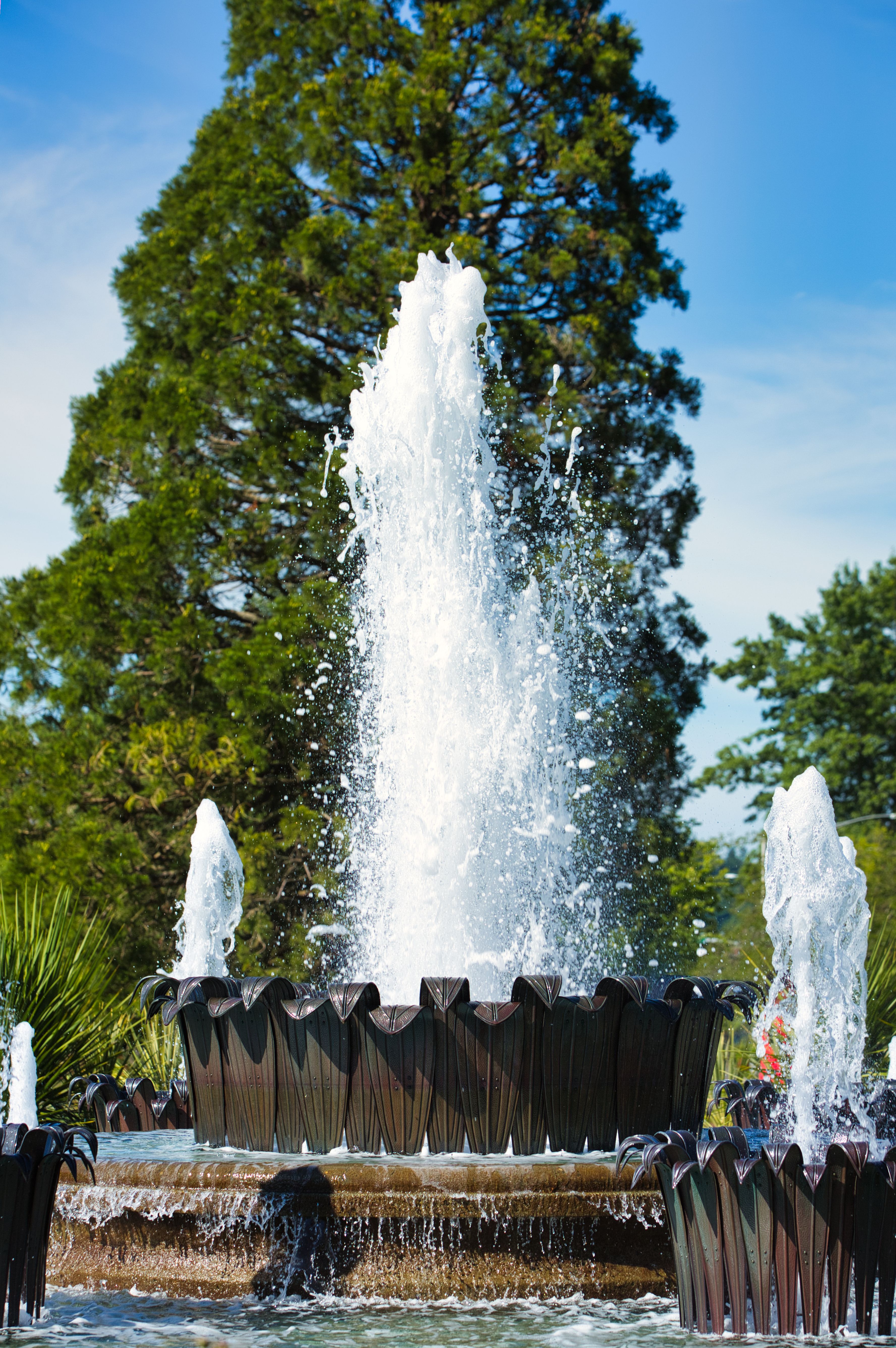 A Water Fountain in the Park · Free Stock Photo