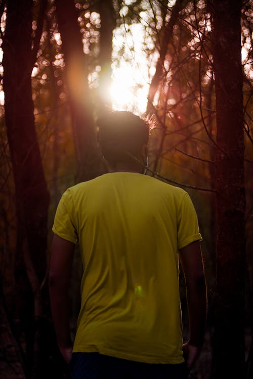 Person in Yellow Crew Neck T-shirt Standing in Between Tree Trunks 