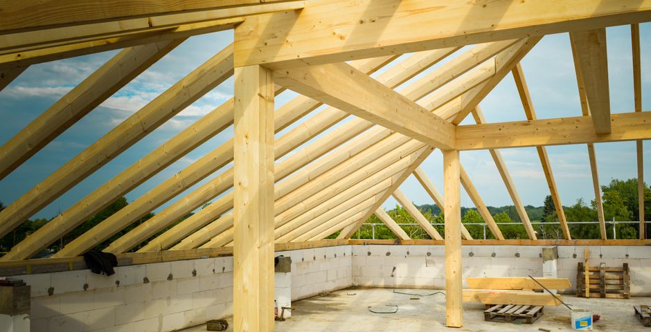 Wooden roof trusses and rafters — a common hidden termite target in Malaysian terrace houses