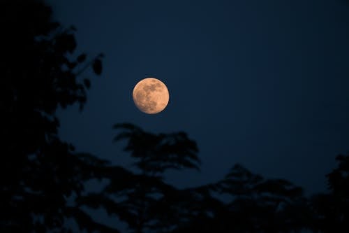 Gratis lagerfoto af aften, fuldmåne, himmel