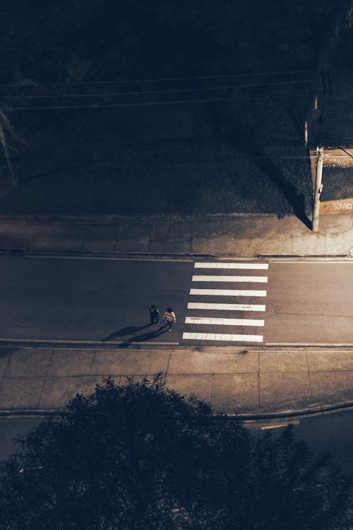 People Crossing the Road at Night 