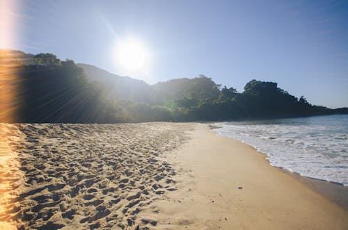 Free stock photo of beach, brasil, environment