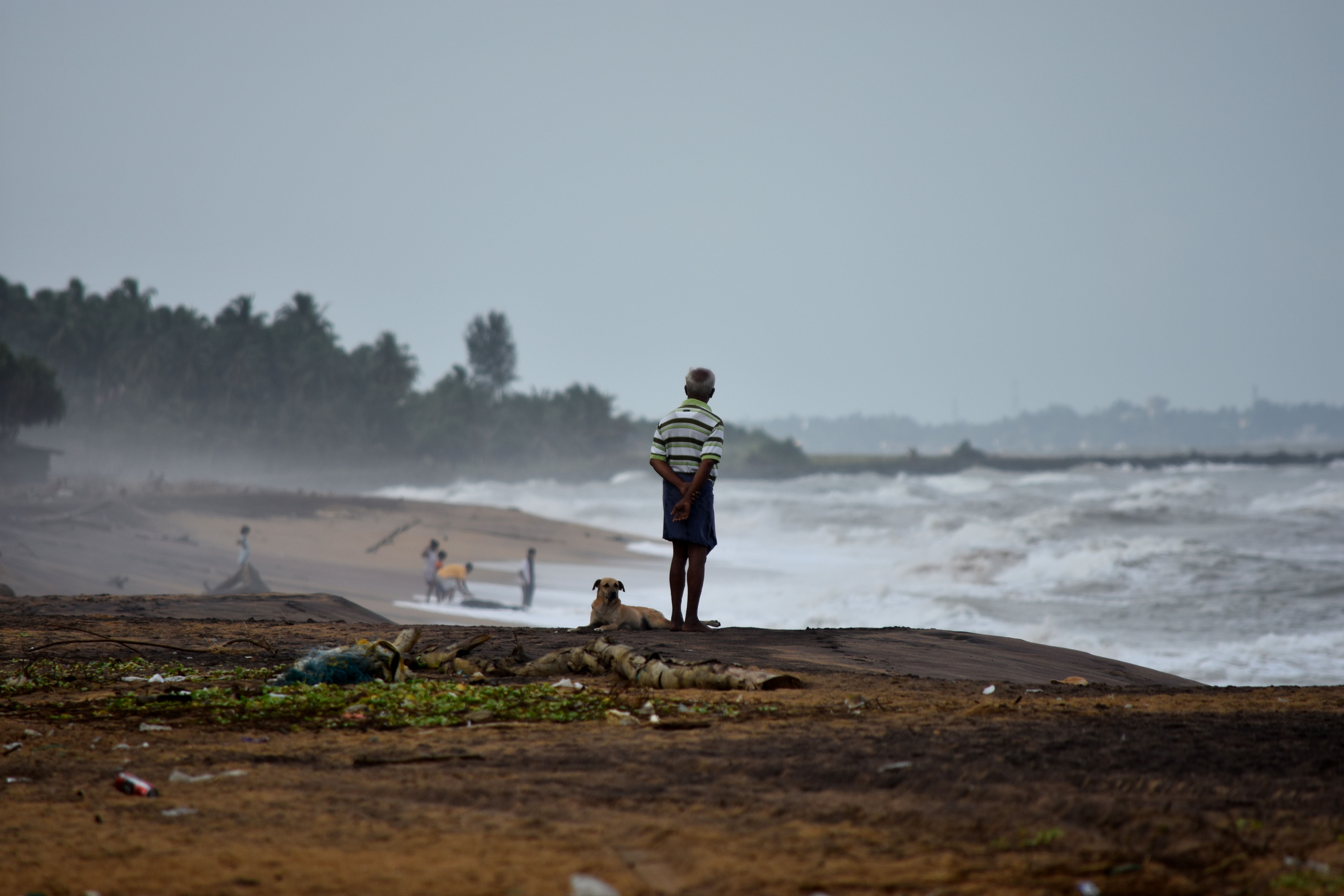 An elderly man with his dog watching the stormy sea on a beach in Sri Lanka.