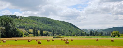 Panoramic Photograph of Haystacks on Field
