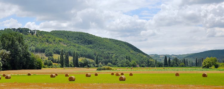 Panoramic Photograph Of Haystacks On Field