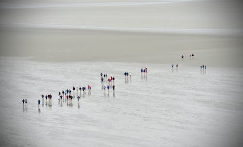 Gratis lagerfoto af folk, strand ved havet